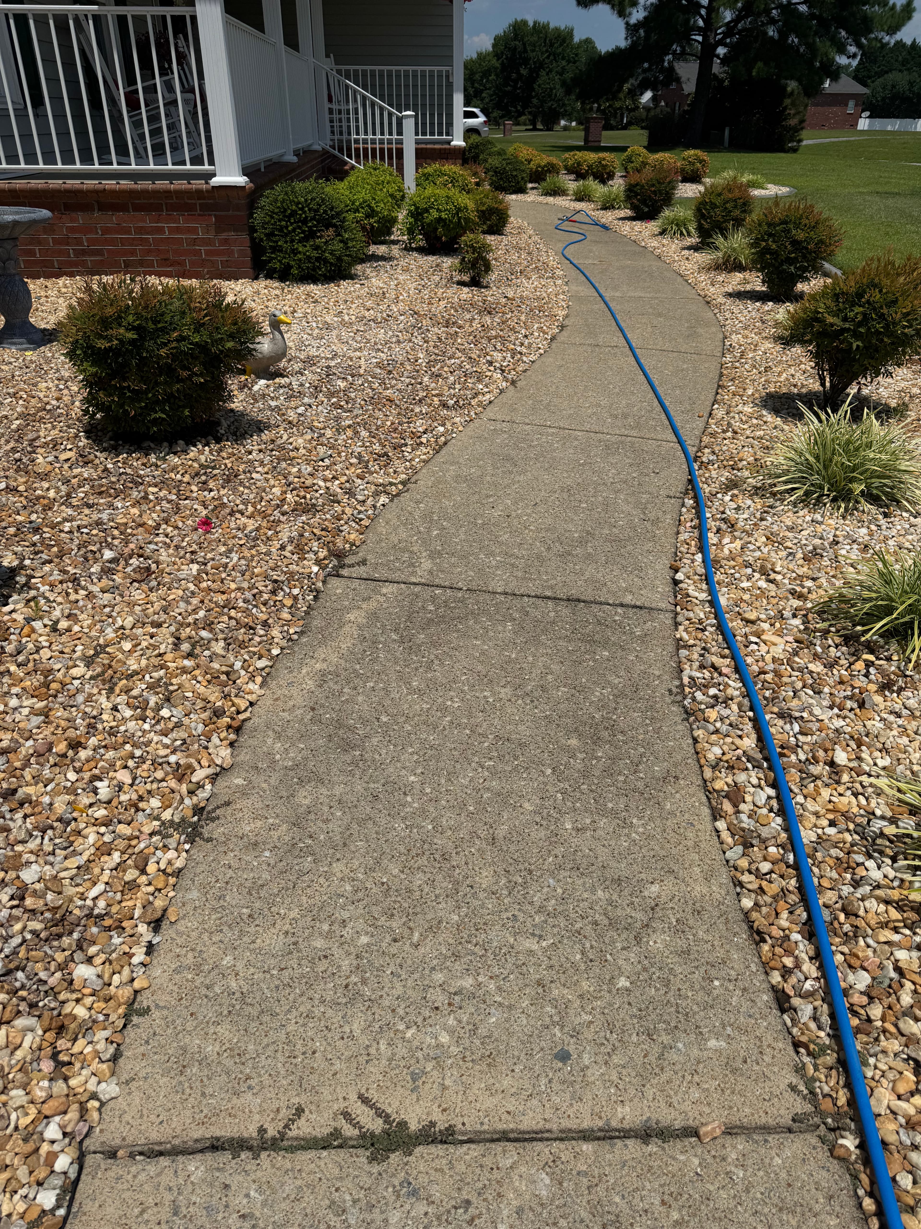 Before sidewalk pressure washing in Fayetteville NC — dirty concrete walkway with organic staining
