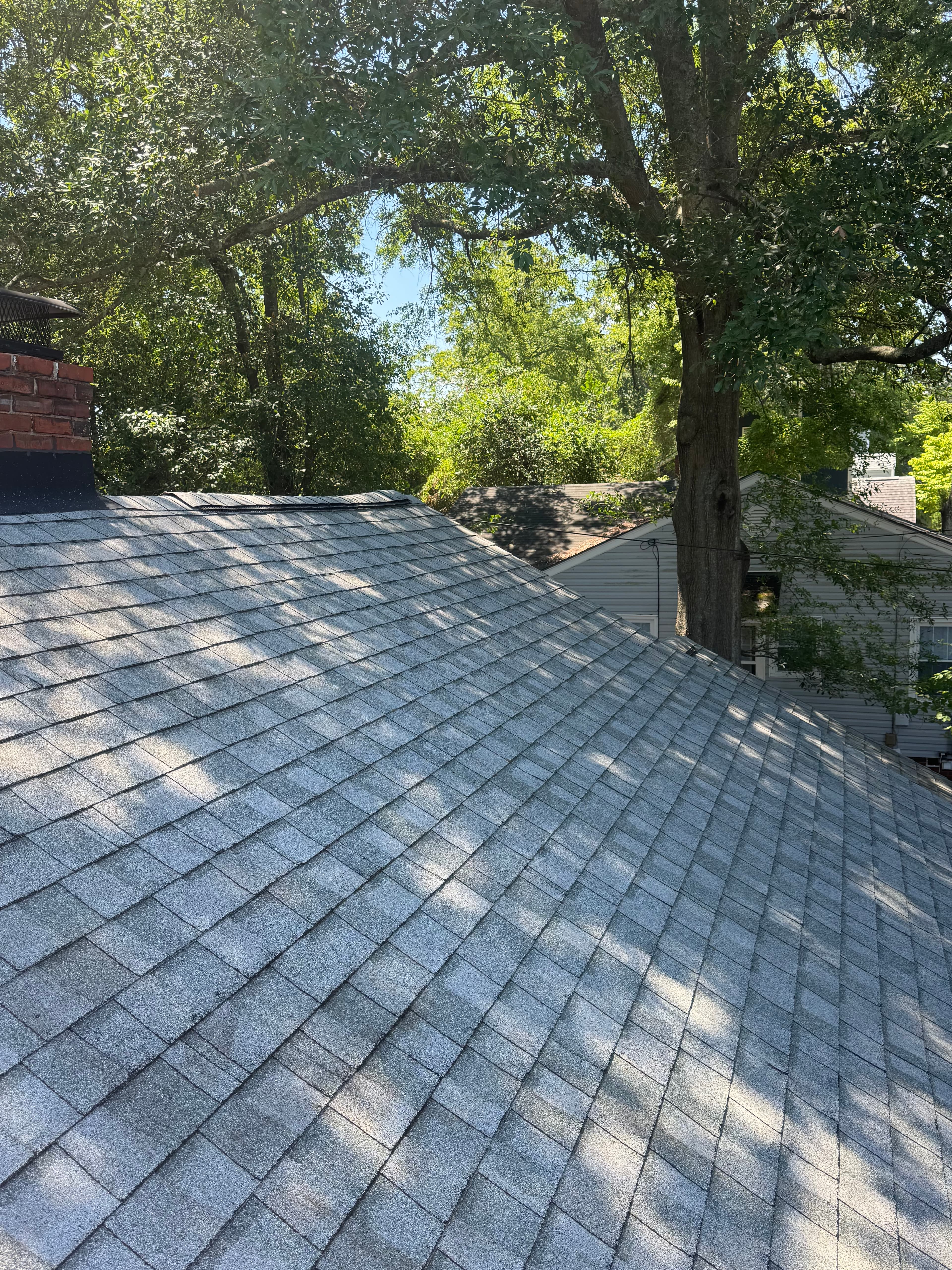 After roof soft washing by Max Pressure in Fayetteville NC — clean asphalt shingles with black streaks removed