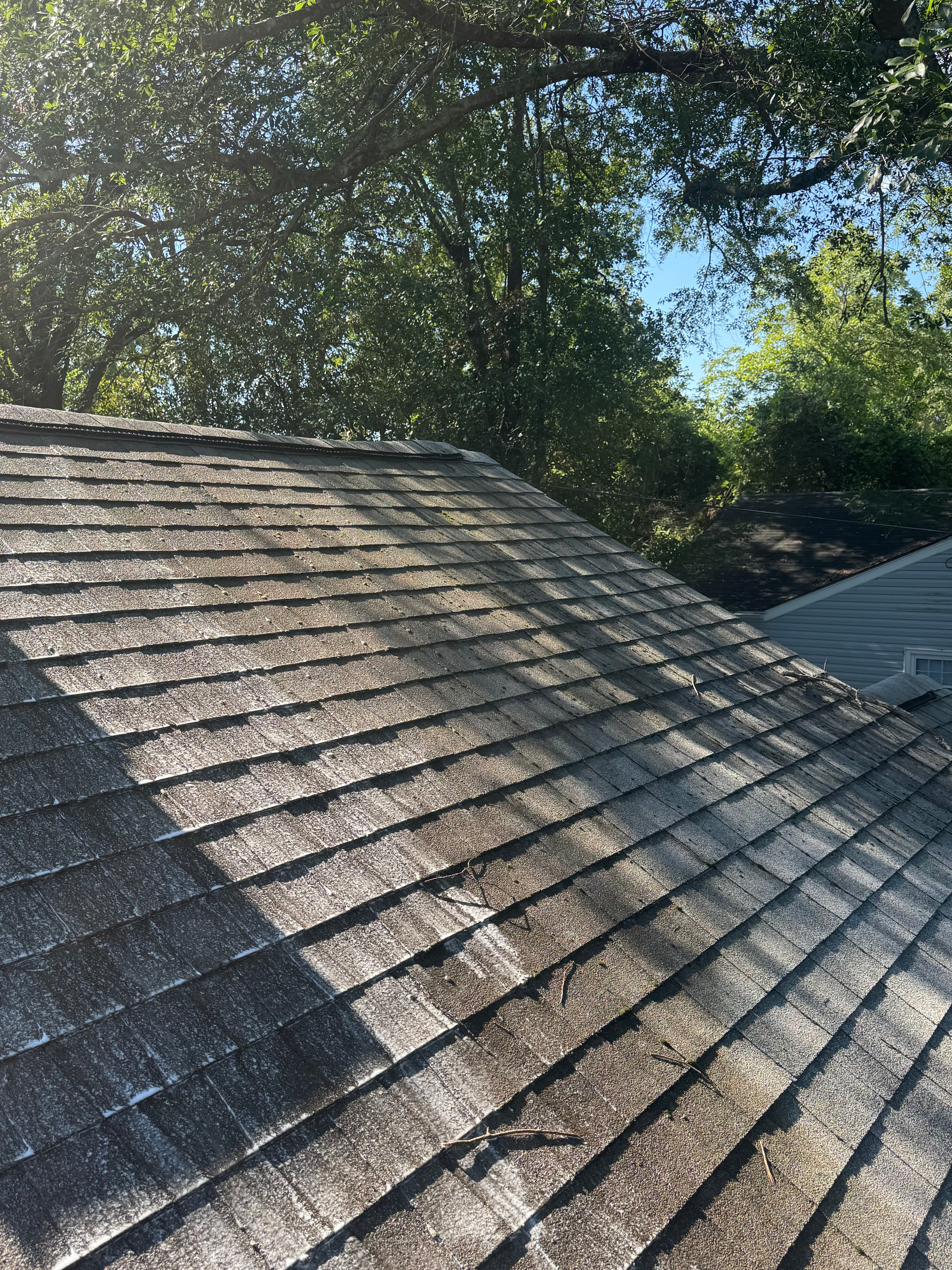 Before roof washing in Fayetteville NC — asphalt shingle roof with black streaks and algae staining