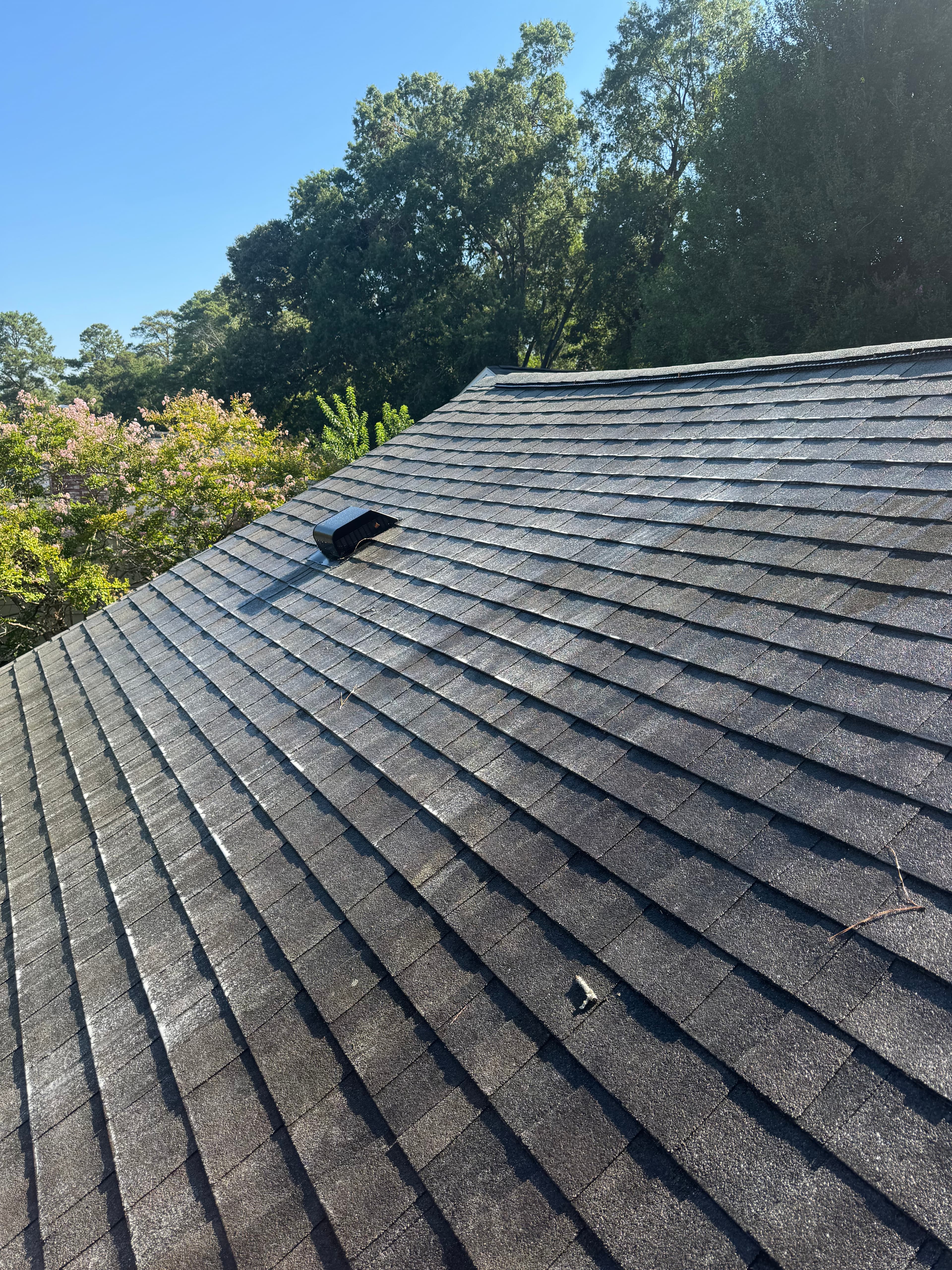Before soft wash roof cleaning in Fayetteville NC — asphalt roof covered in heavy algae growth
