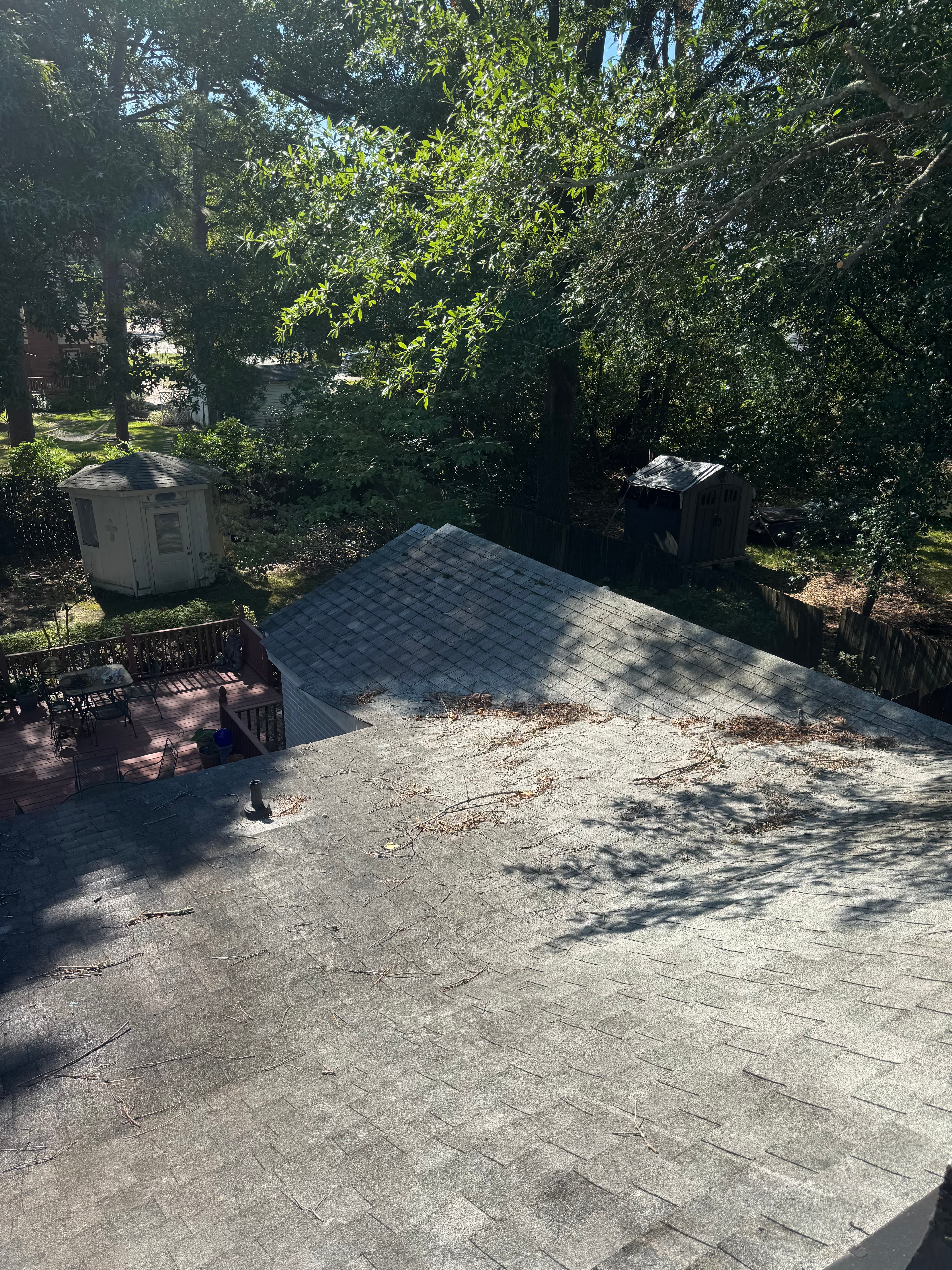 Before roof soft wash in Fayetteville NC — asphalt shingles darkened by Gloeocapsa magma bacteria
