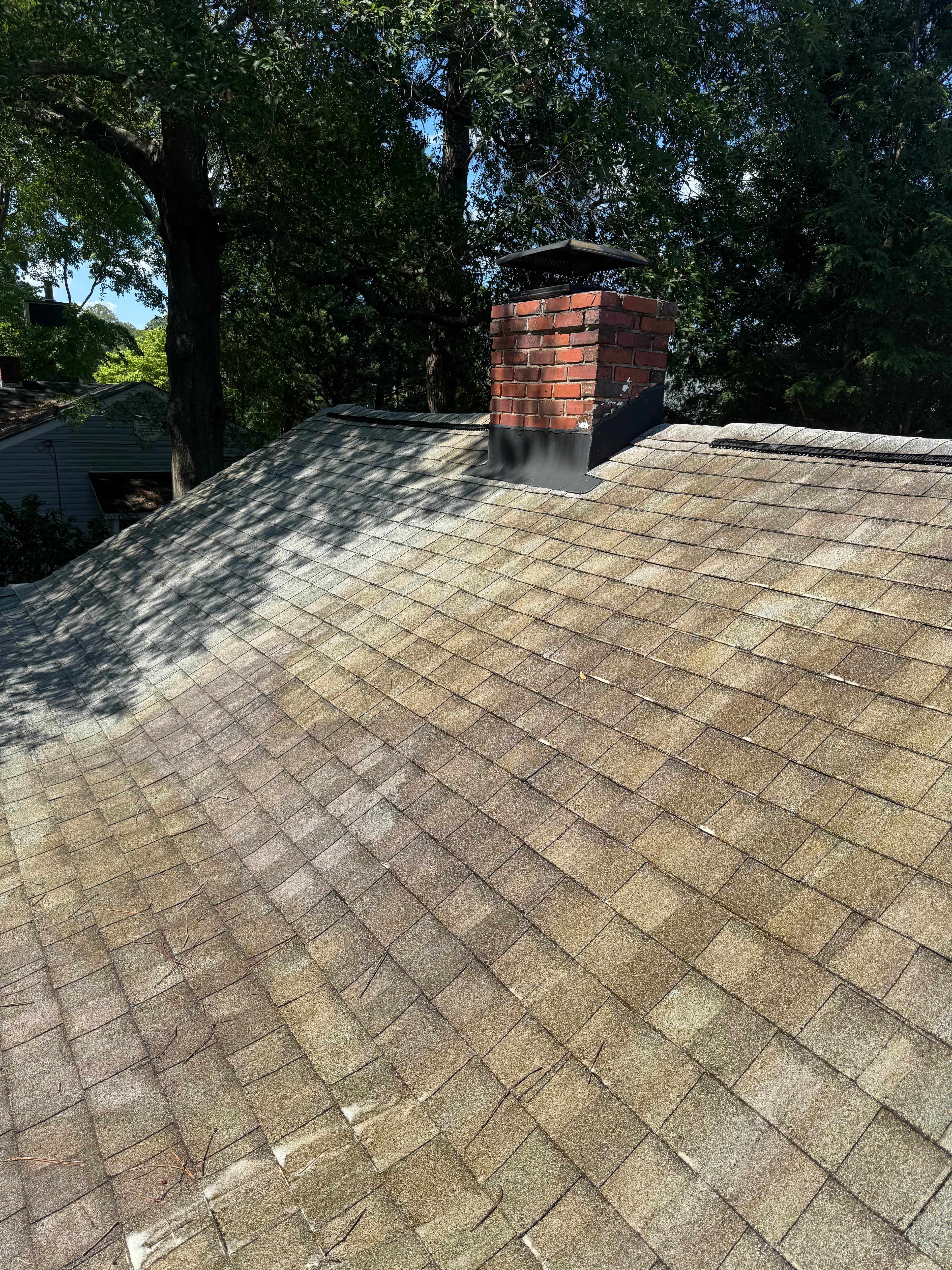 Before roof washing in Fayetteville NC — asphalt shingle roof with moss and lichen growth