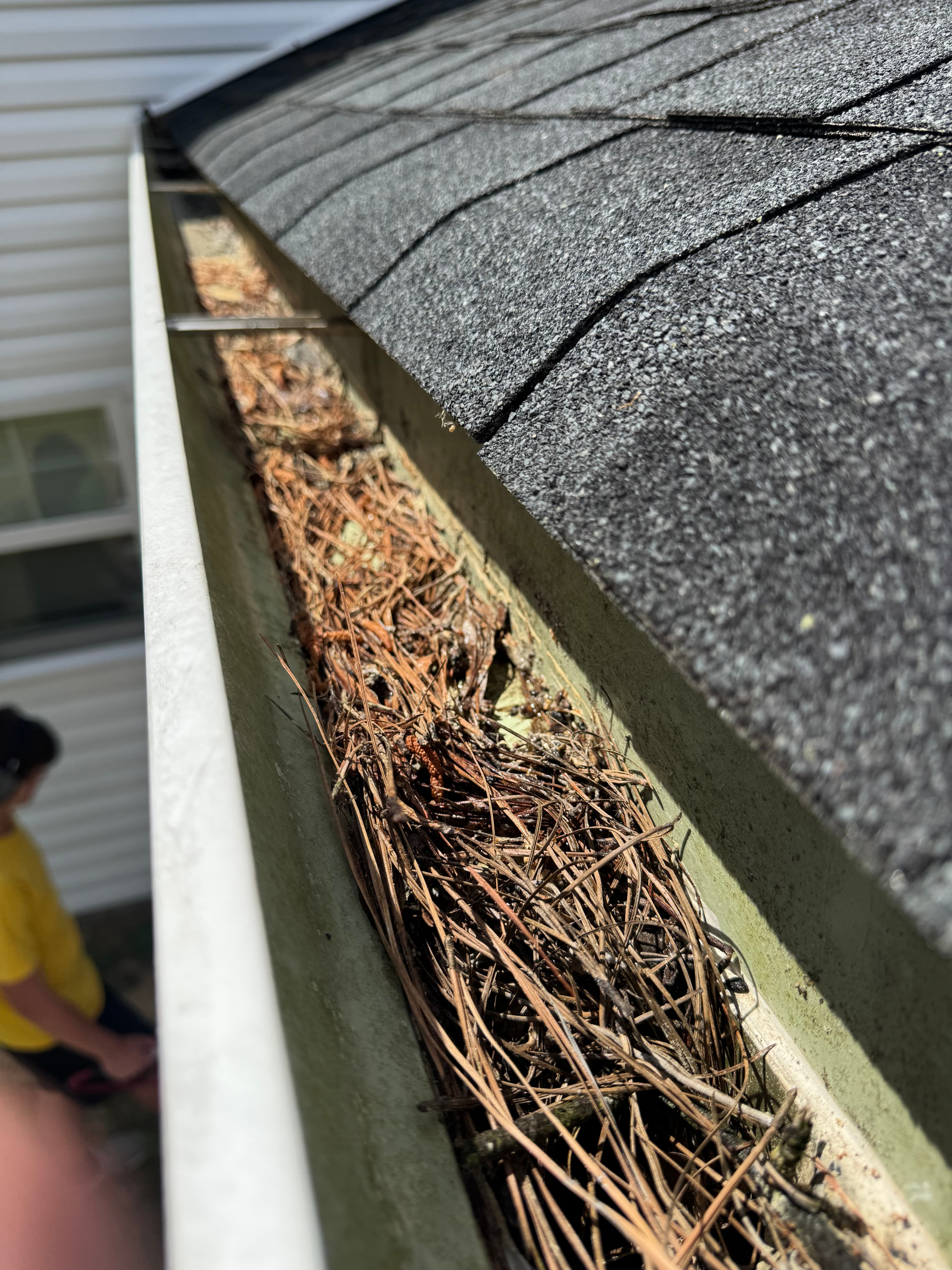 Gutters packed with pine straw and debris before cleanout in Fayetteville NC